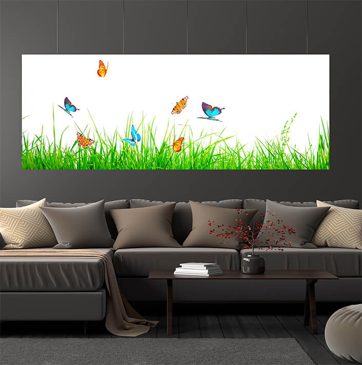 WEB06 0007 ML 0028 46962890 beautiful nature view of butterfly on blurred background in garden AOAY4432