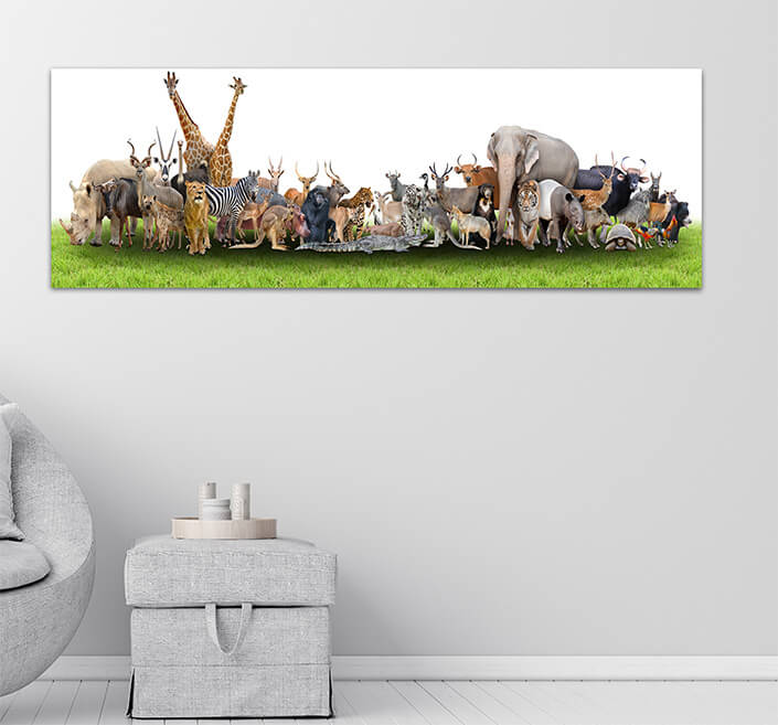 WEB06 0008 MP Panoramic 0008 18294890 animal of the world AOAY3506