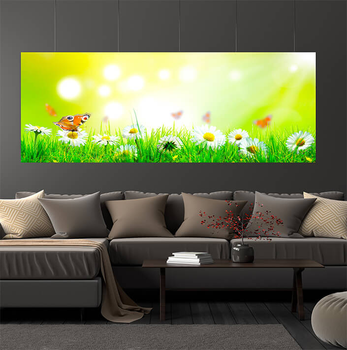 WEB06 0024 ML 0011 47273238 beautiful nature view of butterfly on blurred background in garden AOAY4450