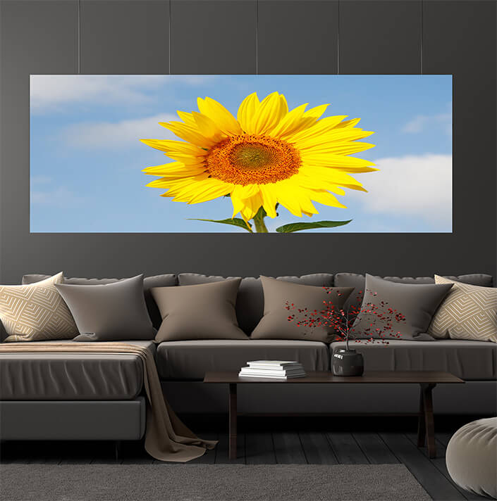 WEB06 0033 ML 0002 47277896 field of blooming sunflowers on a background blue sky AOAY4460