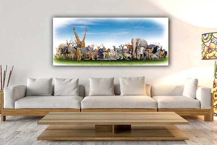 WEB07 0002 MP Panoramic 0005 18374952 animal of the world36 AOAY3511