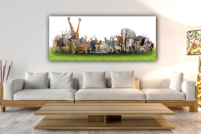 WEB07 0007 MP Panoramic 0008 18294890 animal of the world AOAY3506