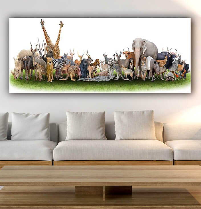 WEB08 0001 MP Panoramic 0006 18374742 animal of the world AOAY3510