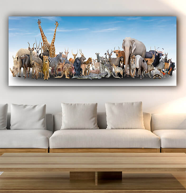 WEB08 0005 MP Panoramic 0001 18294884 animal of the world AOAY3504