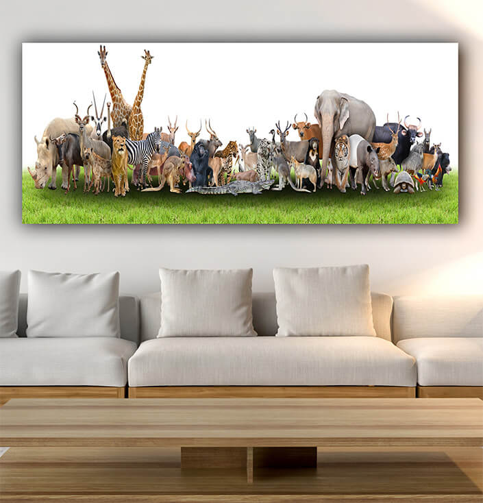 WEB08 0007 MP Panoramic 0008 18294890 animal of the world AOAY3506