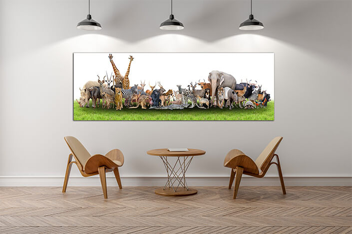 WEB09 0007 MP Panoramic 0008 18294890 animal of the world AOAY3506