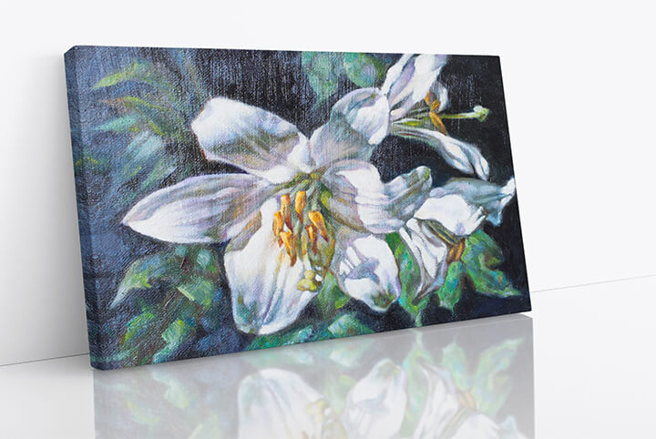 WEB09 0029 M1 20502190 oil paints on canvas of a white flower AOAY3805