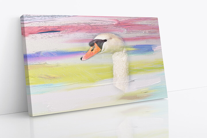 WEB09 0034 M1 18604202 swan head painting AOAY3800