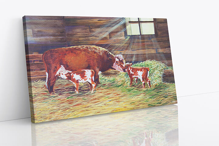 WEB09 0044 M1 12594350 newborn twin calves AOAY3791