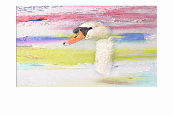 WEB 06 0000 ML 0035 18604202 swan head painting AOAY3800