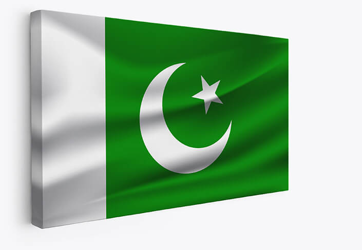 Web001 0019 mp 0030 pakistan waving flag aoay4049