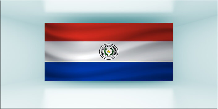 WEB01 0002 MP 0028 Paraguay Waving Flag AOAY4313