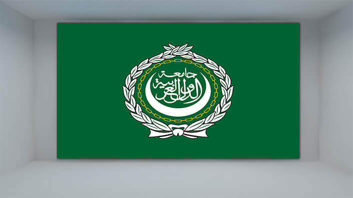 WEB01 0008 MP 0037 League of Arab States Flag AOAY4232