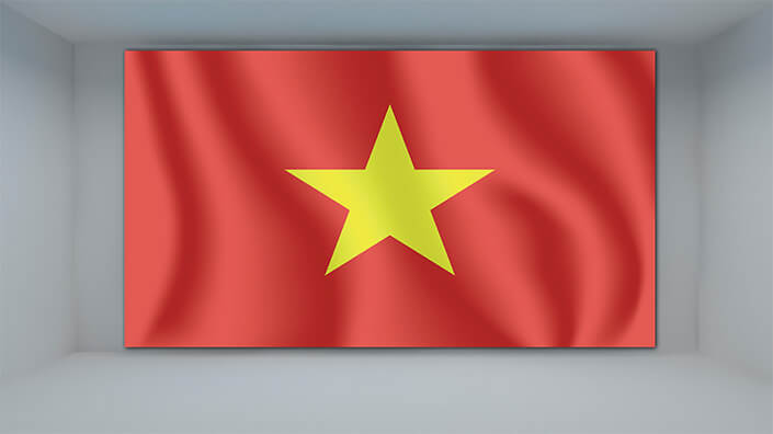 WEB01 0028 MP 0017 Vietnam Waving Flag AOAY4081