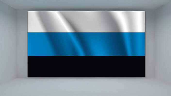 WEB01 0032 MP 0013 Estonia waving Flag AOAY4009