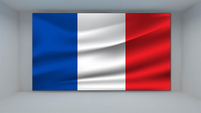 WEB01 0041 MP 0004 France flag waving AOAY4094