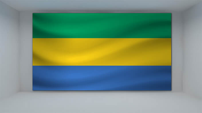 WEB01 0043 MP 0002 Gabon Waving Flag AOAY4288