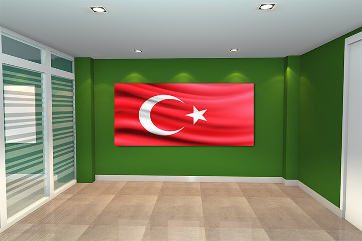 WEB01 0043 MP 0012 Turkey Waving Flag AOAY4356