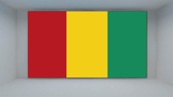 WEB01 0046 MP 0048 Guinea Flag AOAY4295