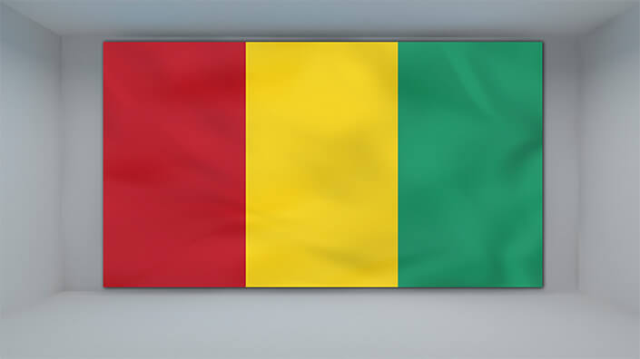 WEB01 0047 MP 0047 Guinea Waving Flag AOAY4294