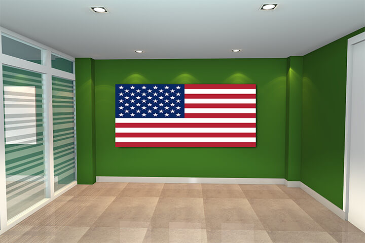 WEB01 0051 MP 0008 United States of America Flag AOAY4007