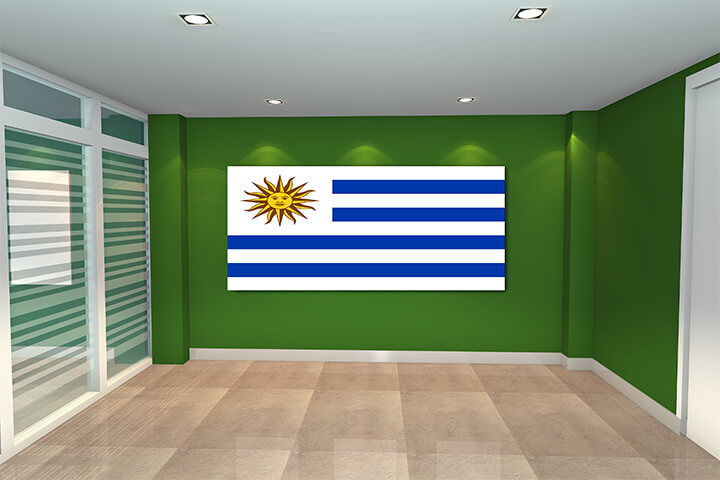 WEB01 0054 MP 0006 Uruguay Flag AOAY4194