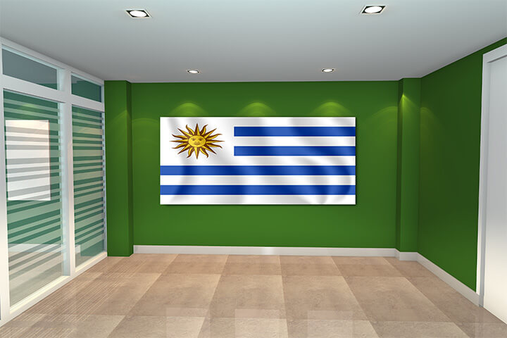 WEB01 0056 MP 0005 Uruguay Waving Flag AOAY4193 Copy