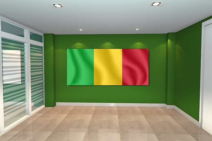 WEB01 0084 MP 0041 Mali Waving Flag AOAY4119