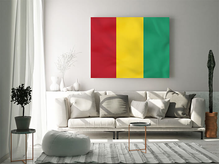 WEB02 0001 MP 0047 Guinea Waving Flag AOAY4294