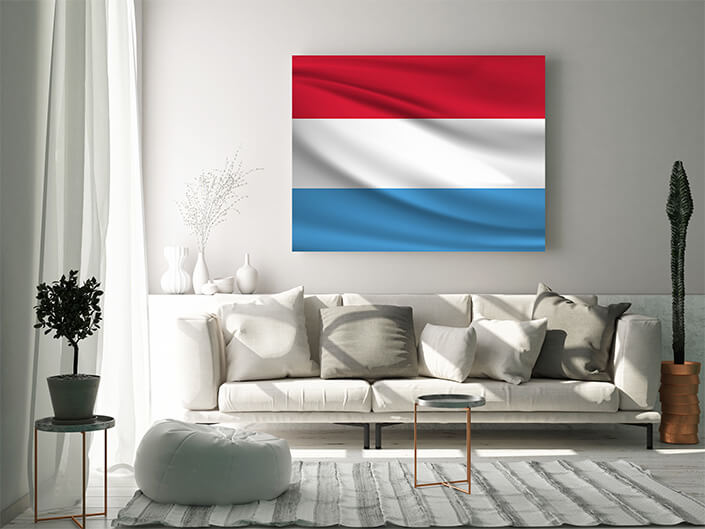 WEB02 0015 MP 0033 Luxemburg waving Flag AOAY4064