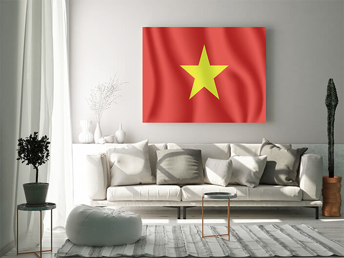 WEB02 0031 MP 0017 Vietnam Waving Flag AOAY4081