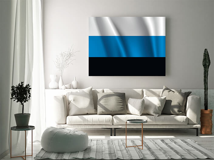 WEB02 0035 MP 0013 Estonia waving Flag AOAY4009