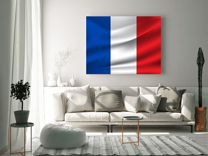 WEB02 0044 MP 0004 France flag waving AOAY4094