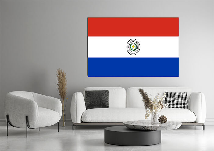 WEB03 0001 MP 0029 Paraguay Flag AOAY4314