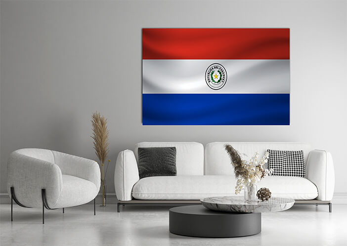 WEB03 0002 MP 0028 Paraguay Waving Flag AOAY4313
