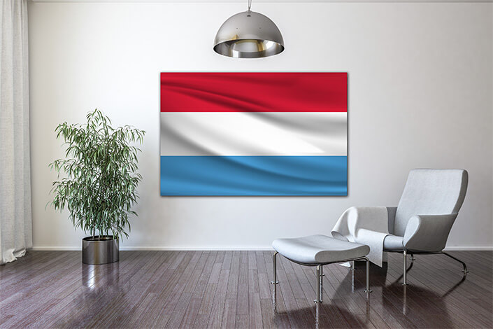 WEB04 0006 MP 0033 Luxemburg waving Flag AOAY4064