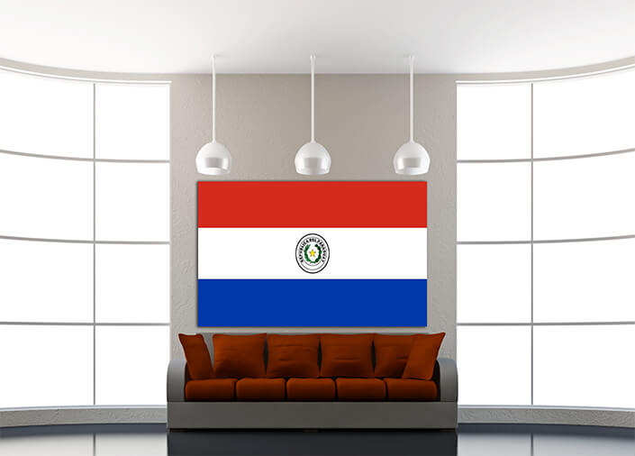 WEB04 0007 MP 0029 Paraguay Flag AOAY4314