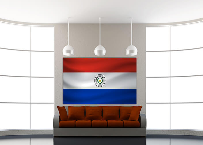 WEB04 0008 MP 0028 Paraguay Waving Flag AOAY4313