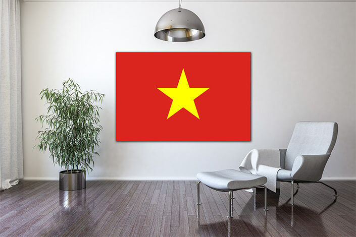 WEB04 0021 MP 0018 Vietnam Flag AOAY4082