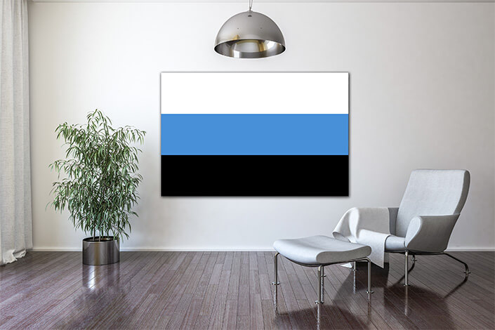 WEB04 0025 MP 0014 Estonia Flag AOAY4014
