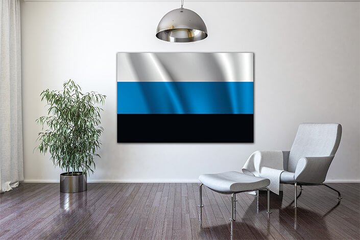 WEB04 0026 MP 0013 Estonia waving Flag AOAY4009