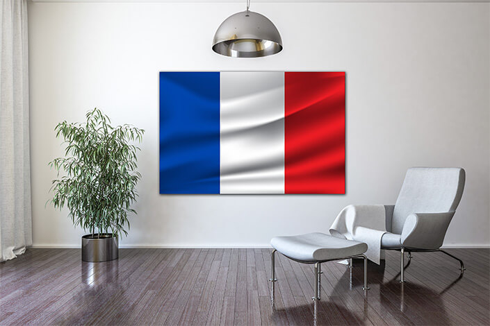 WEB04 0035 MP 0004 France flag waving AOAY4094