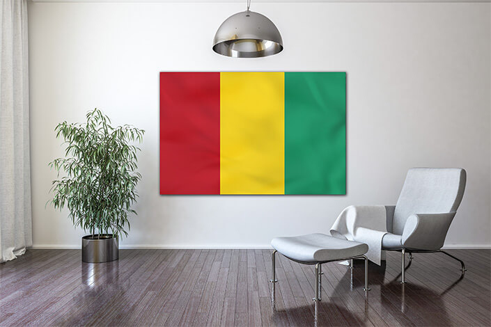 WEB04 0041 MP 0047 Guinea Waving Flag AOAY4294
