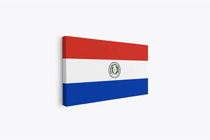 WEB05 0020 MP 0029 Paraguay Flag AOAY4314