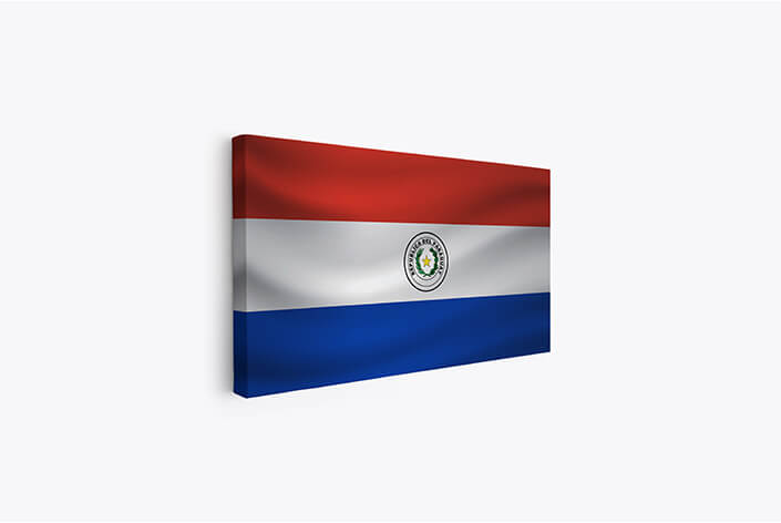 Web05 0021 mp 0028 paraguay waving flag aoay4313
