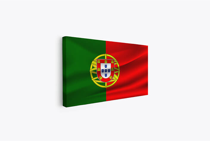 WEB05 0023 MP 0026 Portugal flag waving AOAY4096