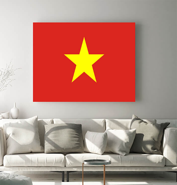 WEB05 0030 MP 0018 Vietnam Flag AOAY4082