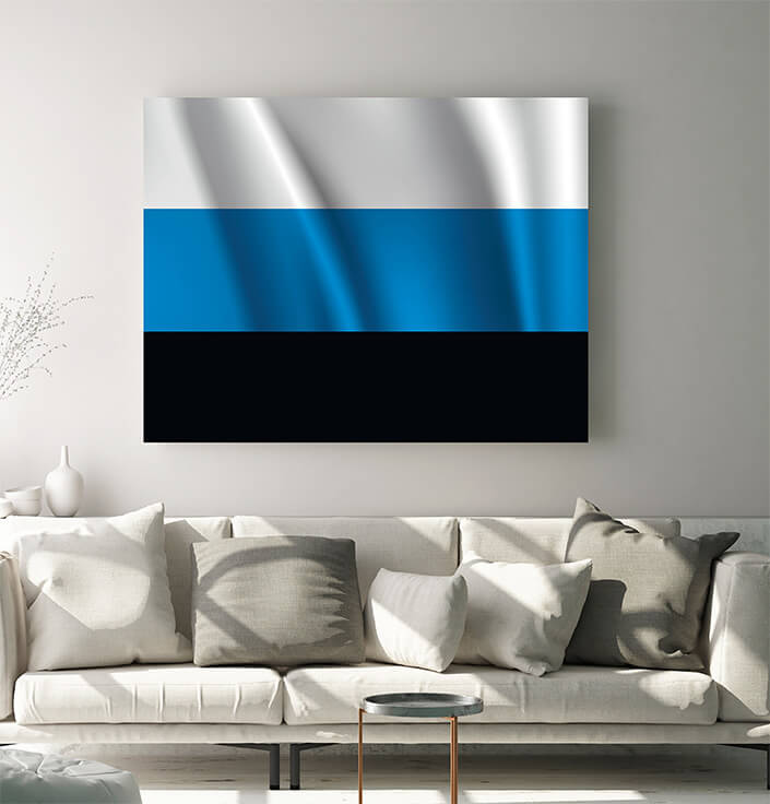 WEB05 0035 MP 0013 Estonia waving Flag AOAY4009