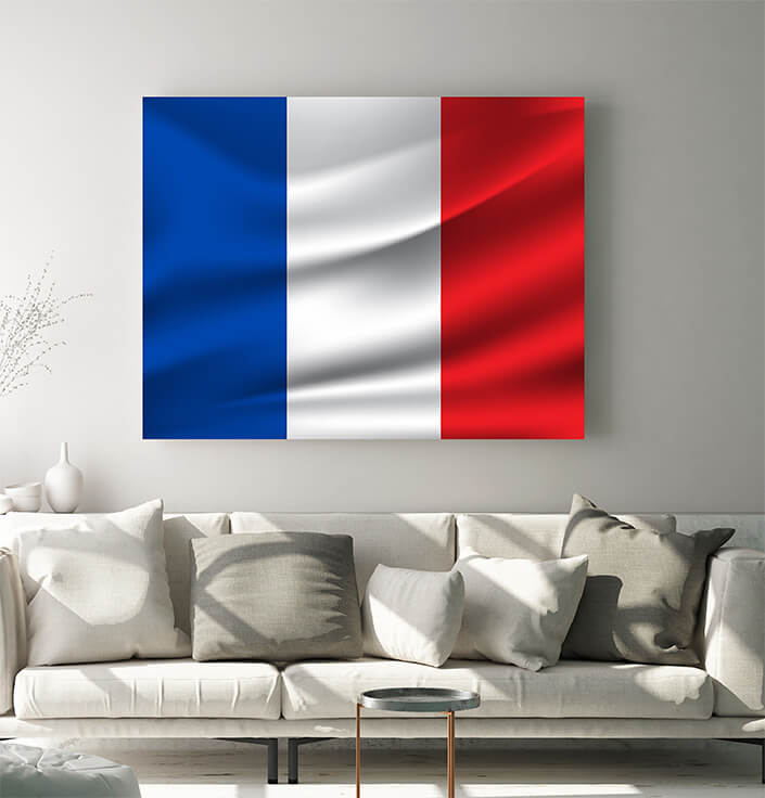 WEB05 0044 MP 0004 France flag waving AOAY4094