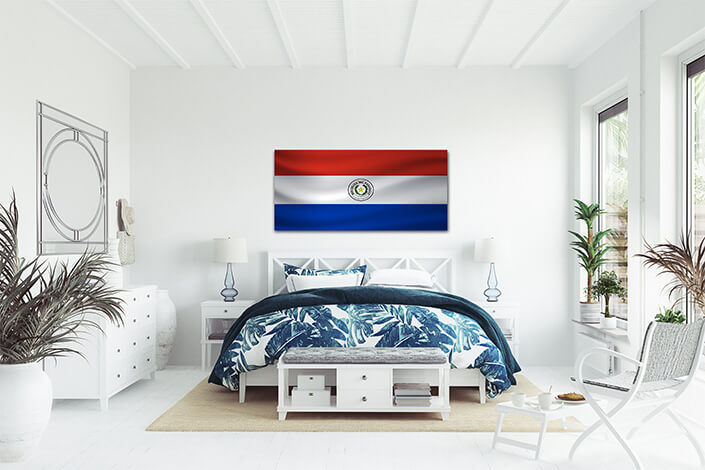 WEB07 0005 MP 0028 Paraguay Waving Flag AOAY4313